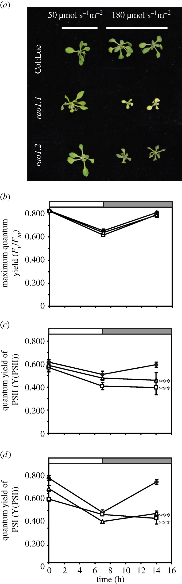 Figure 4.