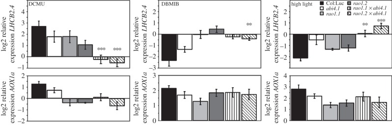 Figure 5.