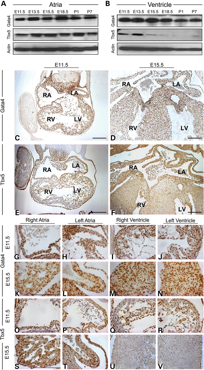 Figure 1.