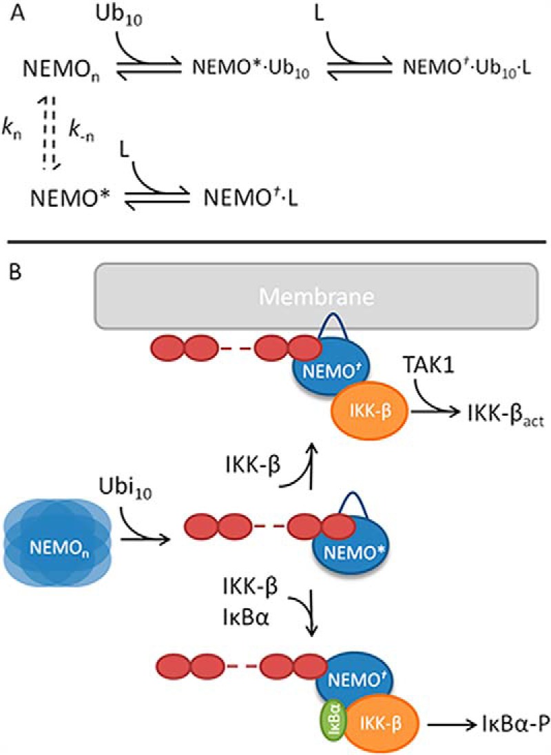 FIGURE 9.