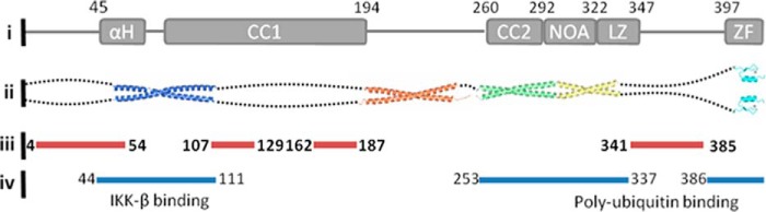 FIGURE 1.