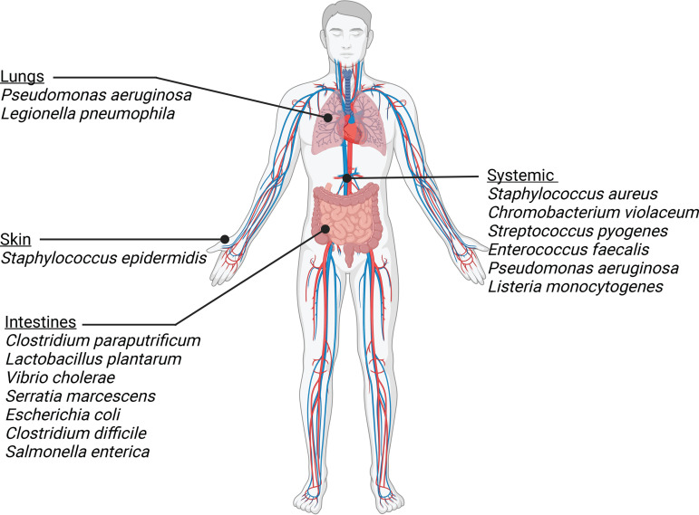 FIG 1