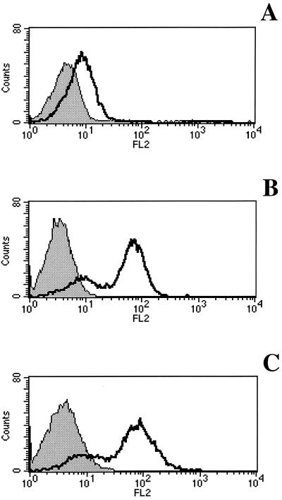 FIG. 3