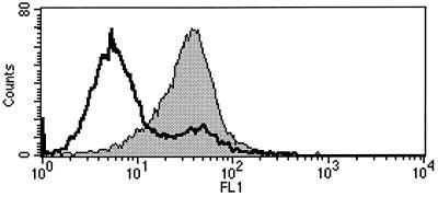 FIG. 5