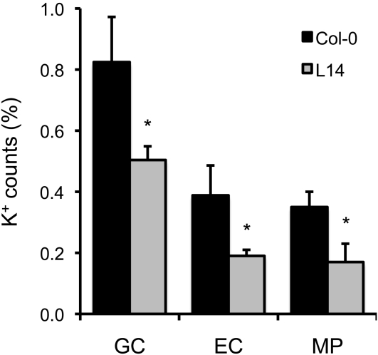 Figure 7.