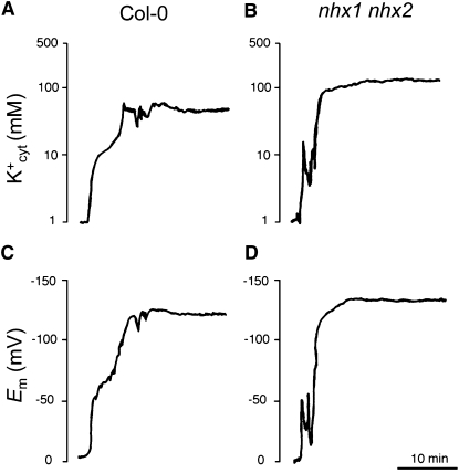 Figure 12.