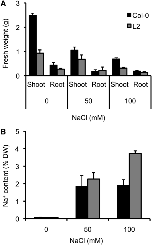 Figure 6.