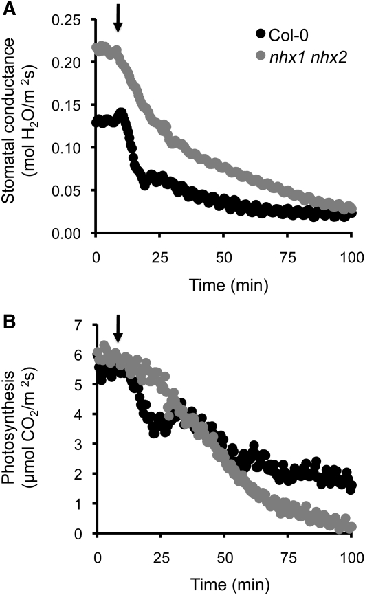 Figure 10.