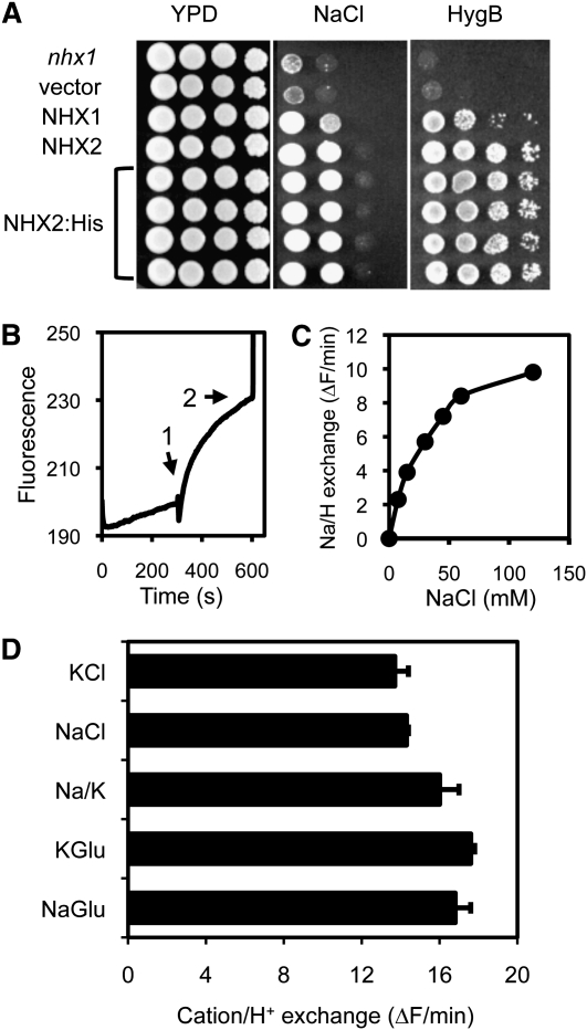 Figure 1.