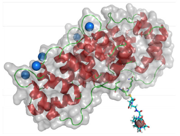 Figure 4 