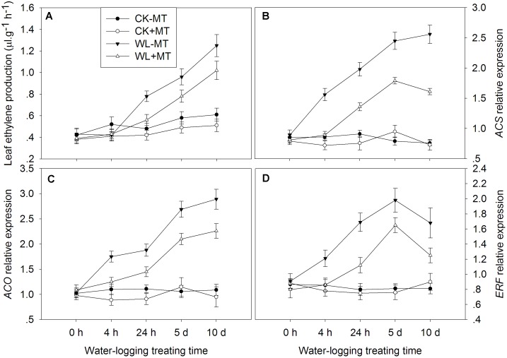 FIGURE 10