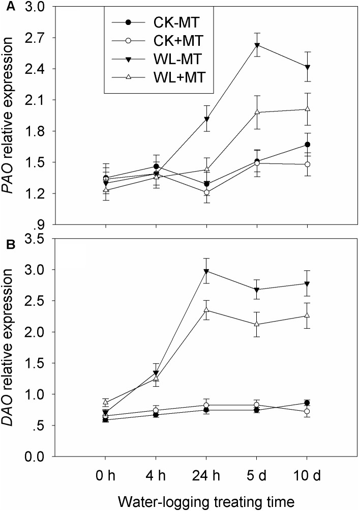 FIGURE 9