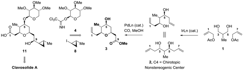 Scheme 1.