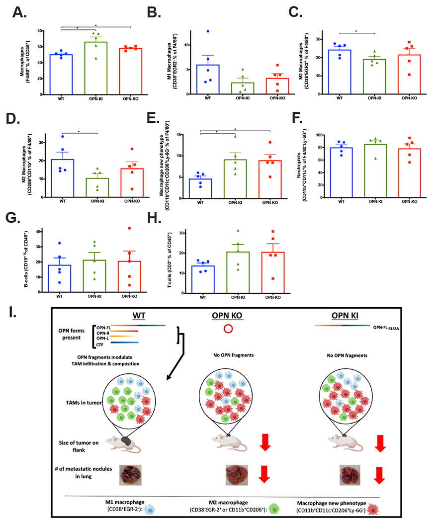 Figure 6: