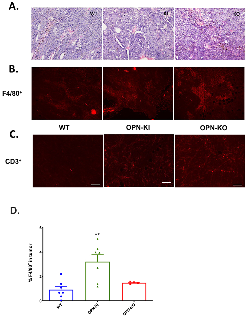 Figure 5: