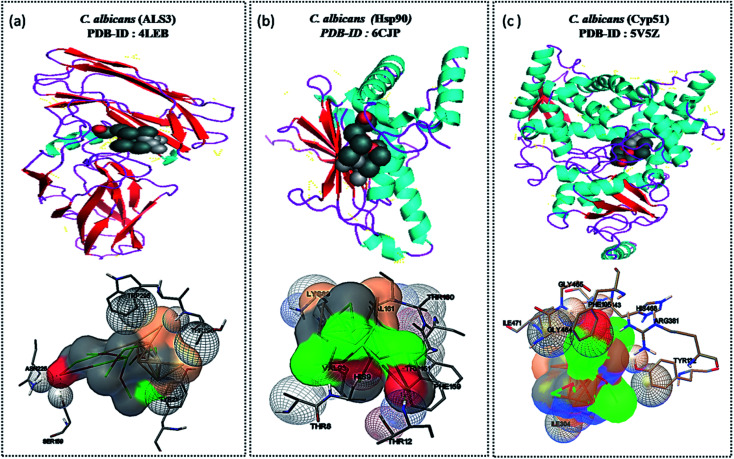 Fig. 10