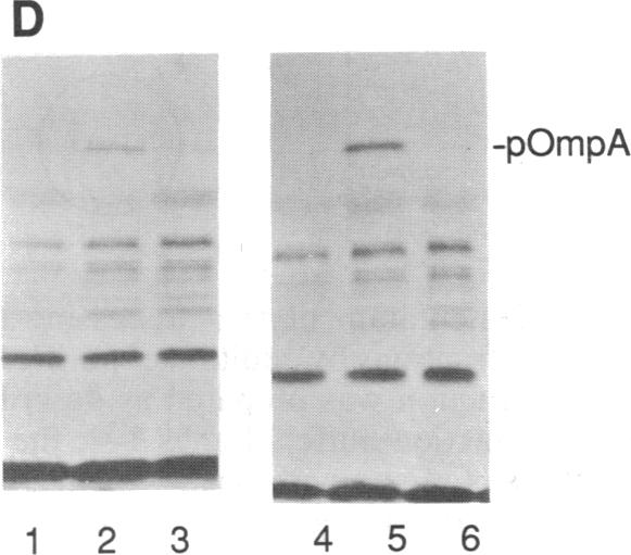 graphic file with name pnas00289-0090-e.jpg