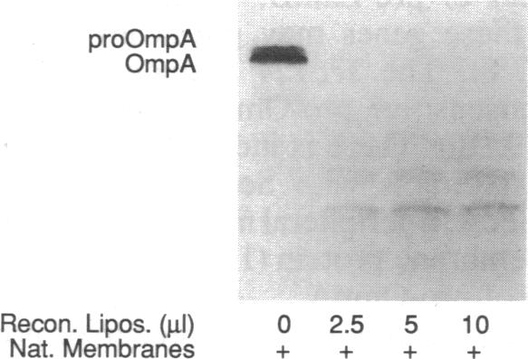 graphic file with name pnas00289-0089-a.jpg