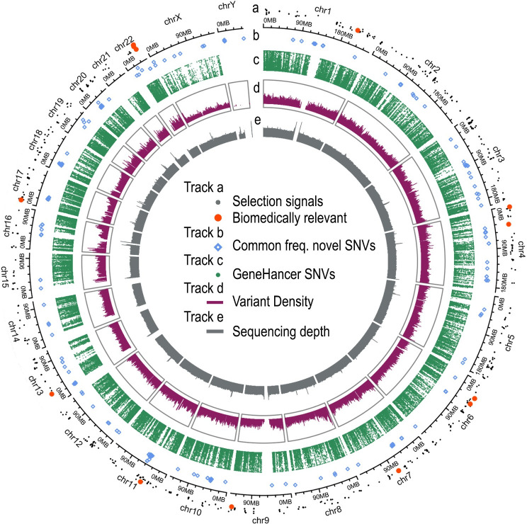 Fig 3