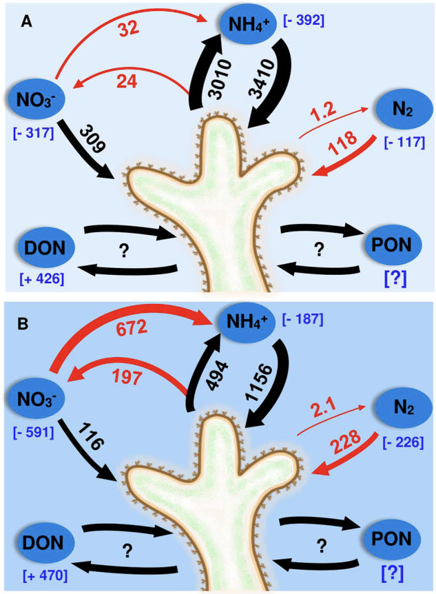 Fig. 7