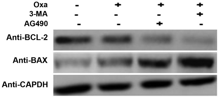 Figure 5.