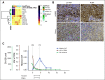 FIG 3.