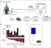 FIG 1.