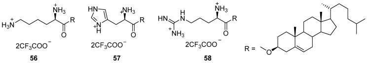 Figure 21