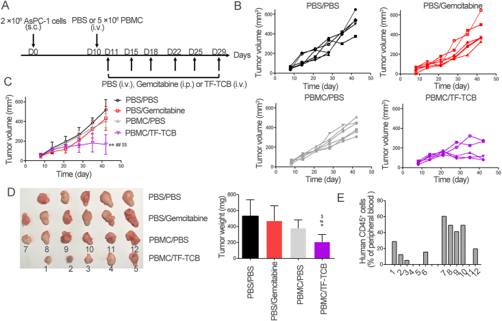 Figure 6