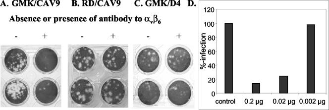 FIG. 5.