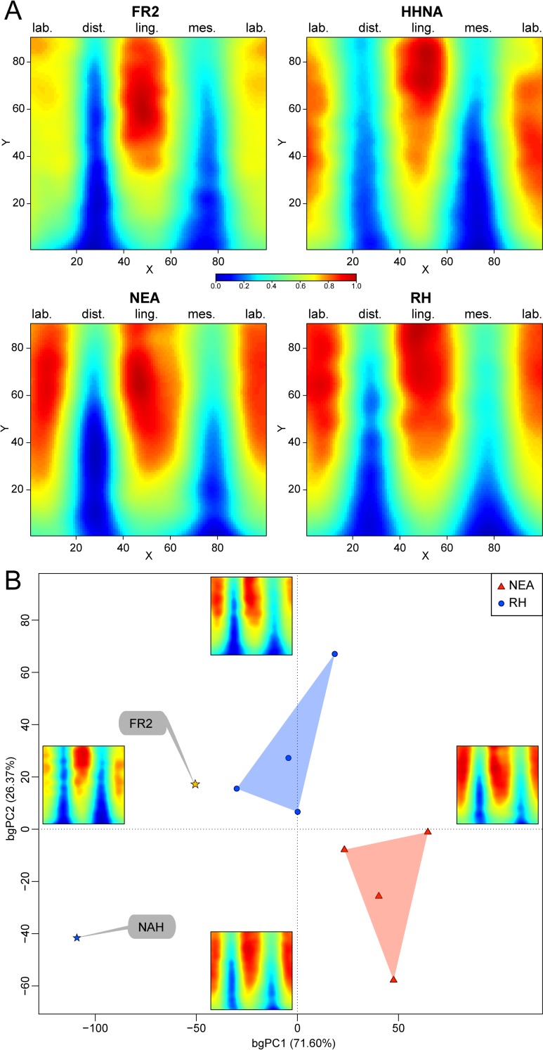 Fig 3