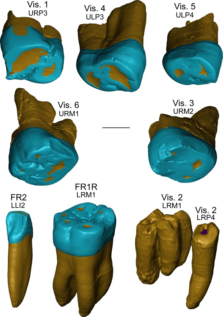 Fig 1