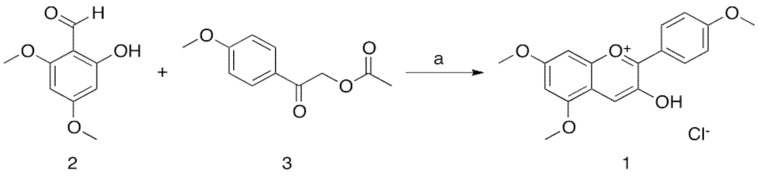 Scheme 1