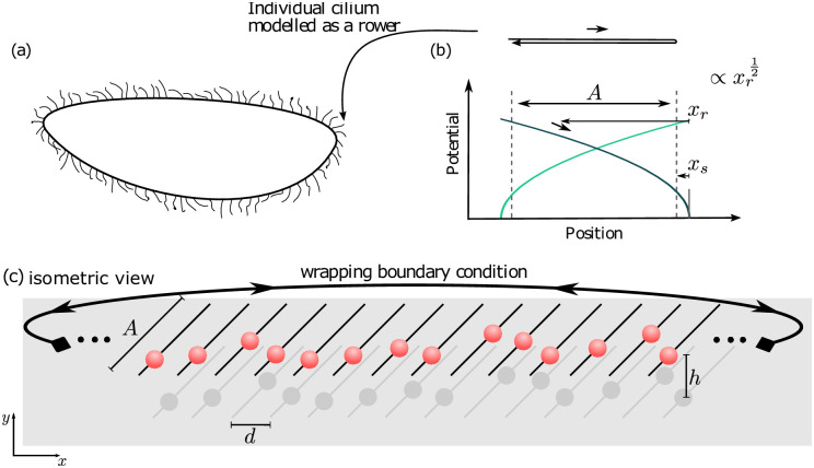 Fig 2