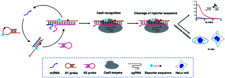 Scheme 1