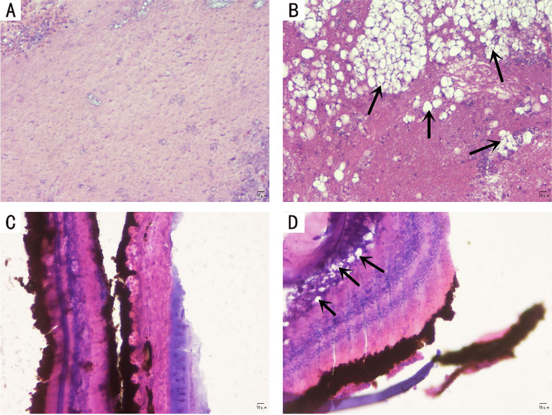 Fig. 6