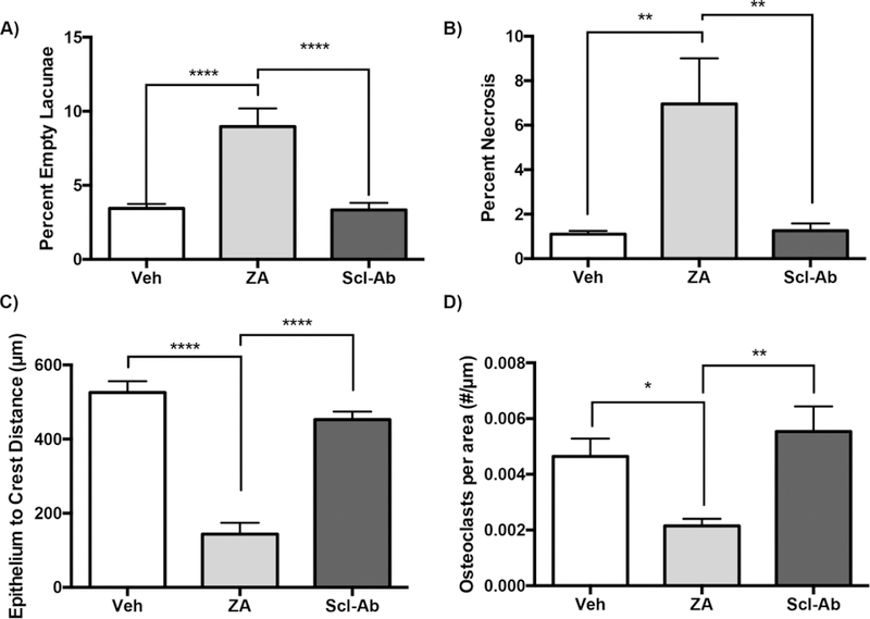 Figure 5: