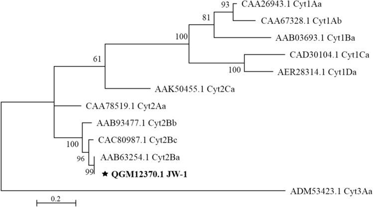 Fig. 5