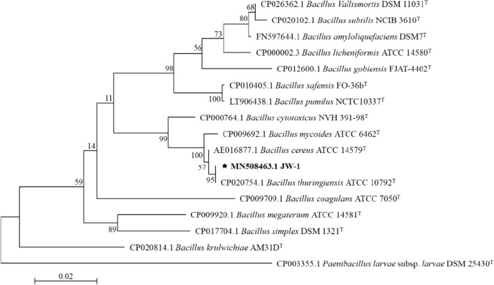 Fig. 3