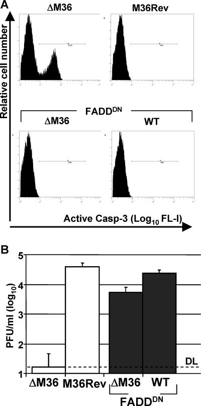 FIG. 5.