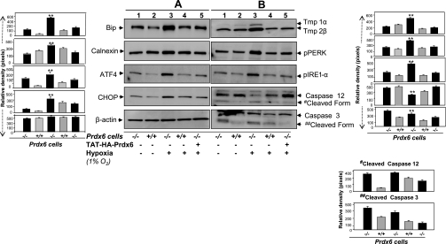 Fig. 10.