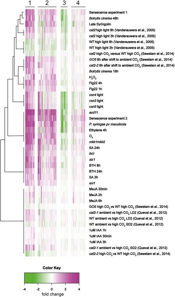 Fig. 6