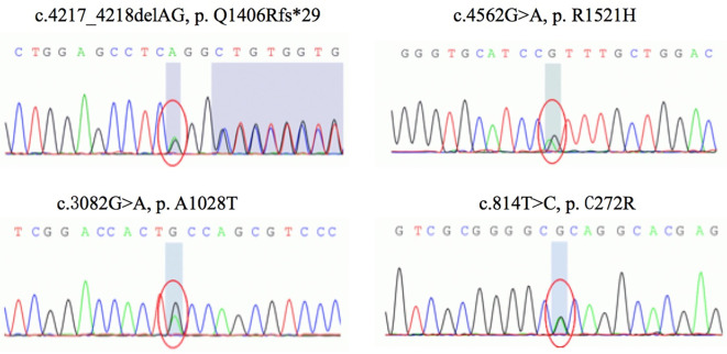 Figure 2.