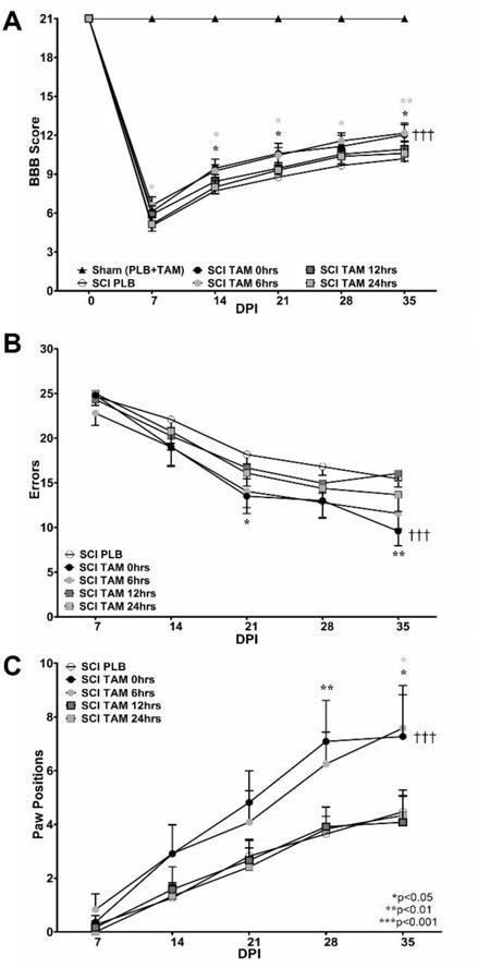 Fig.1