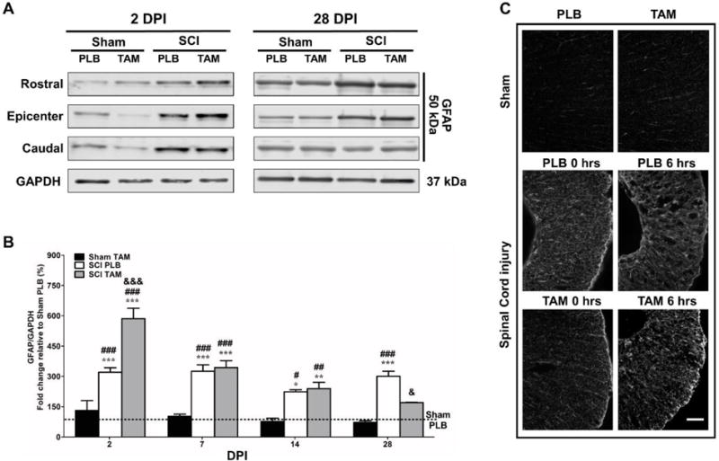 Fig.4