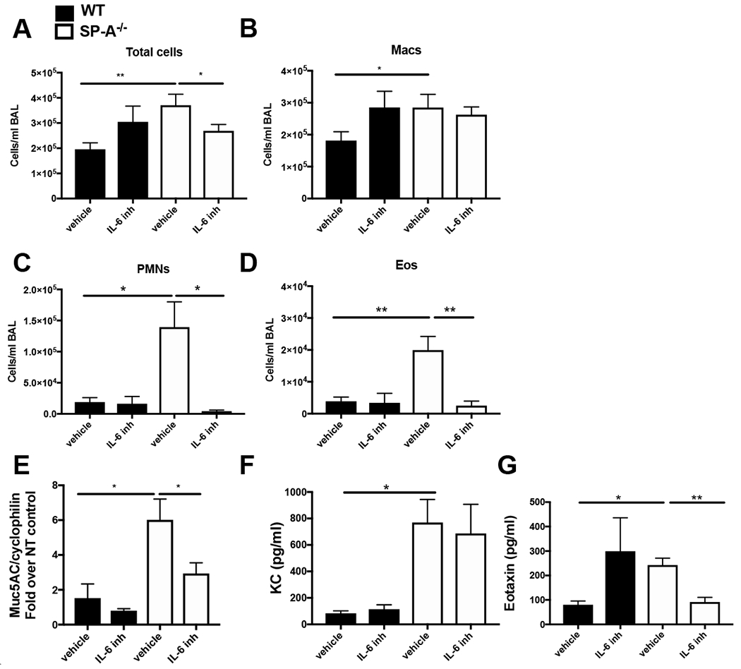 Figure 3,