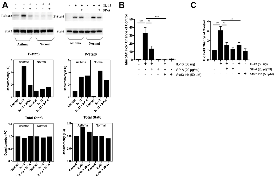 Figure 5,