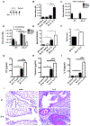 Figure 1,