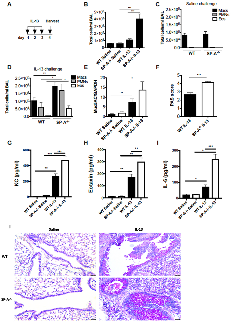 Figure 1,