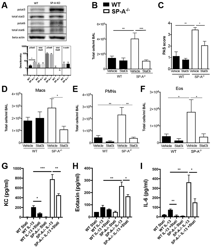 Figure 2,